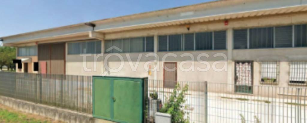 immagine annuncio 2 di 11