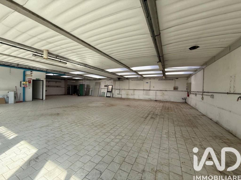 immagine annuncio 4 di 14