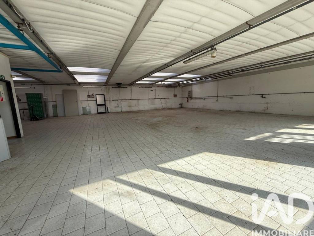 immagine annuncio 7 di 14