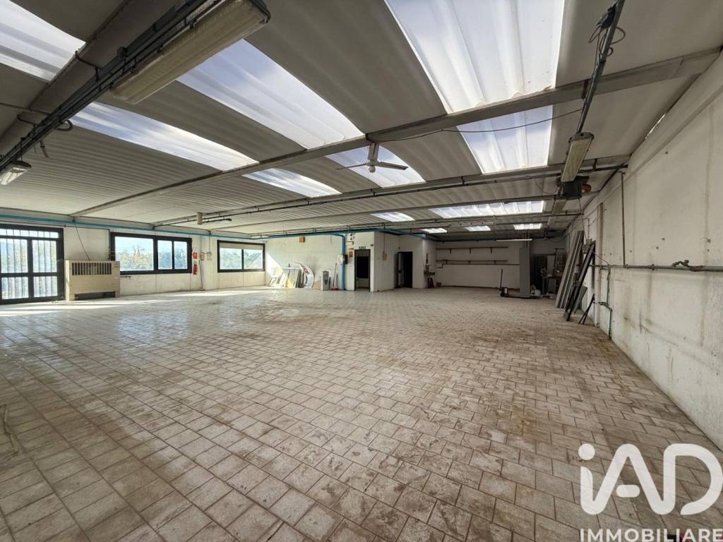 immagine annuncio 11 di 14