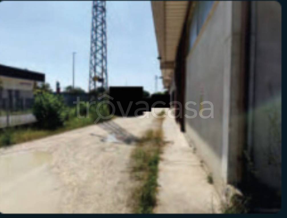 immagine annuncio 5 di 11