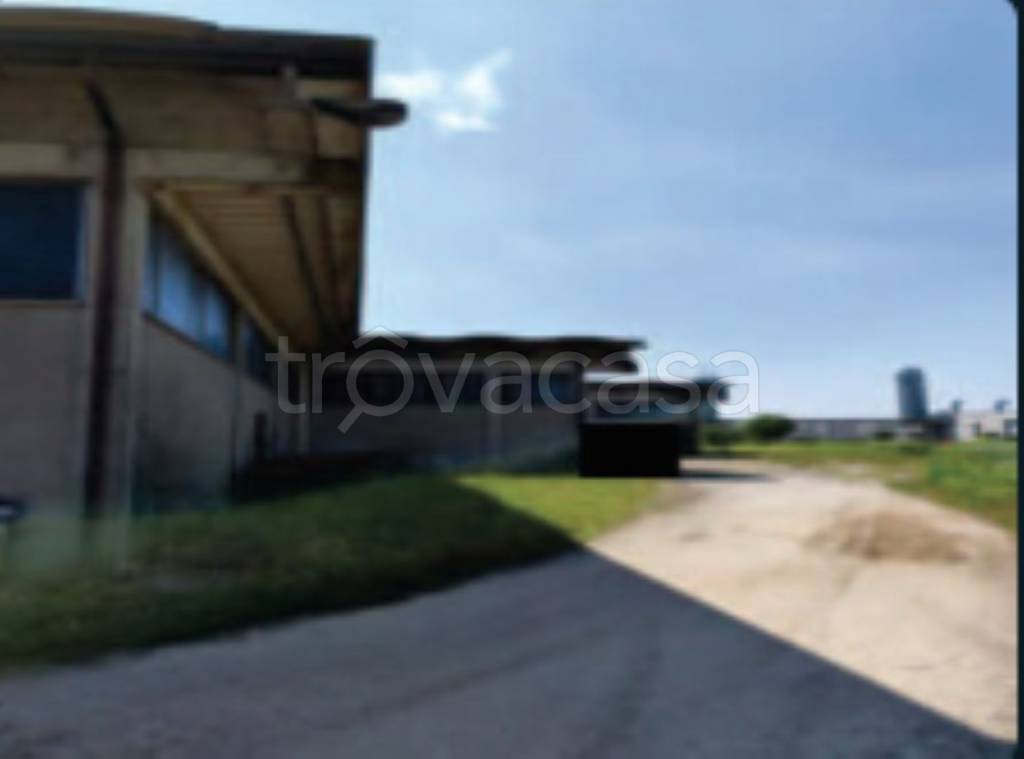 immagine annuncio 8 di 11