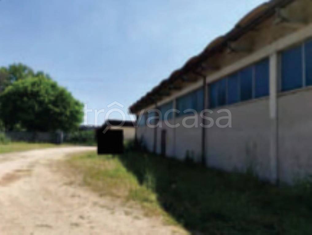 immagine annuncio 9 di 11