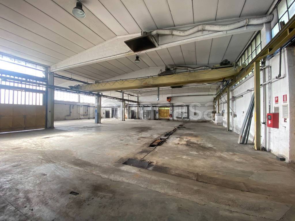 immagine annuncio 11 di 15