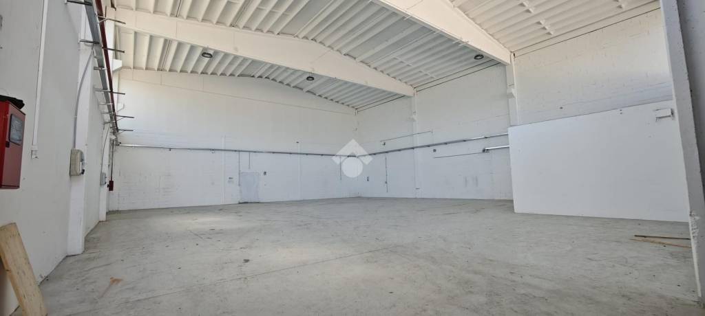 immagine annuncio 9 di 11