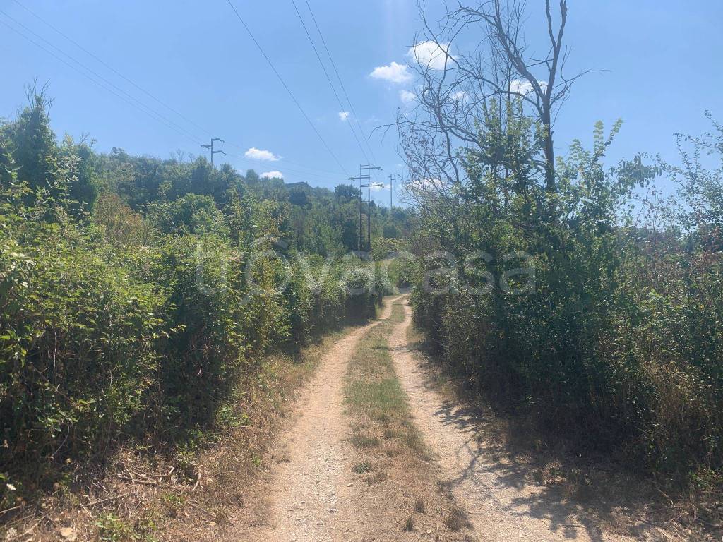 immagine annuncio 3 di 8