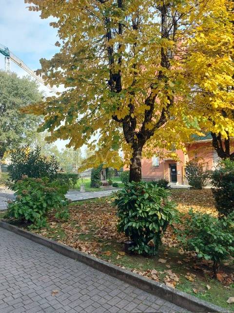 immagine annuncio 10 di 14