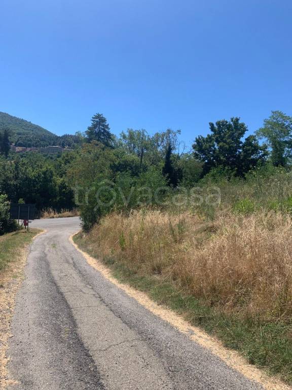 immagine annuncio 5 di 6