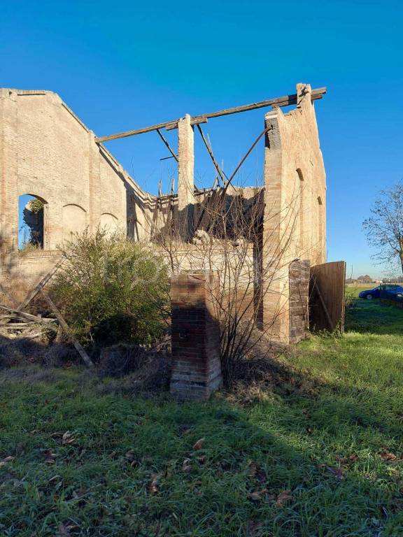 immagine annuncio 8 di 11