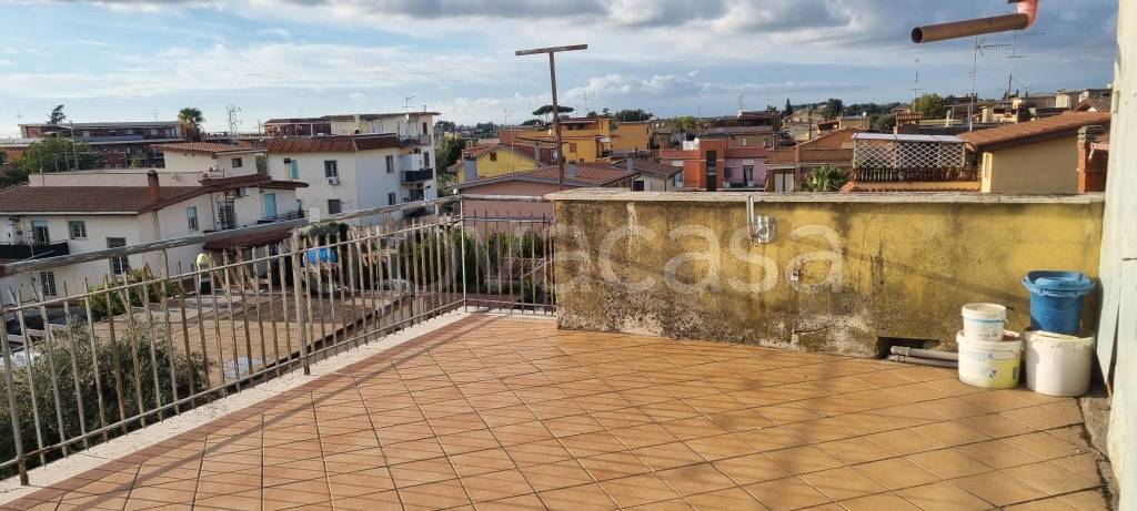 immagine annuncio 12 di 14