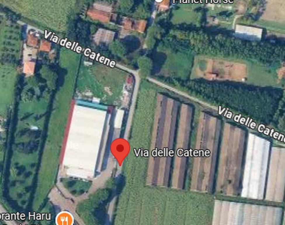 immagine annuncio 8 di 9