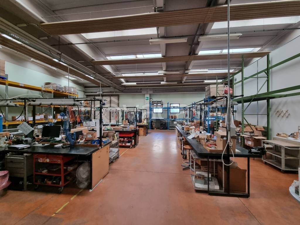 immagine annuncio 3 di 15