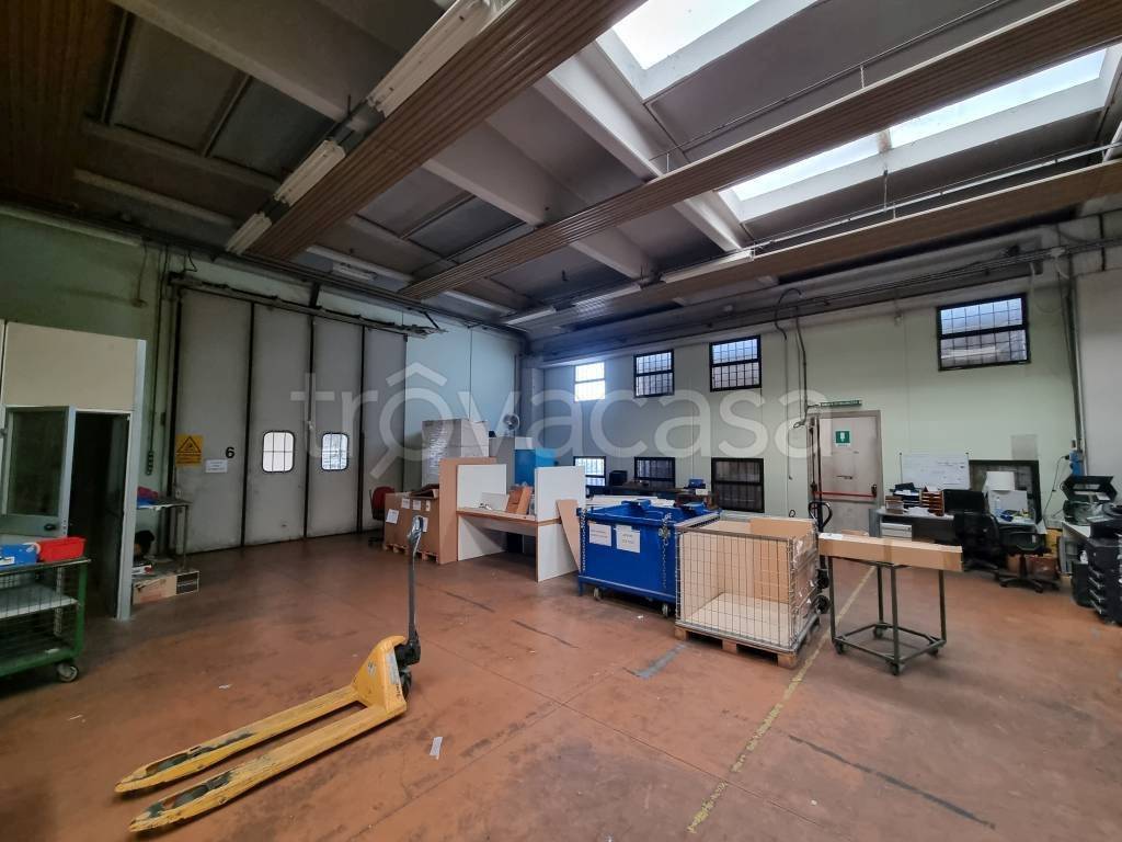 immagine annuncio 8 di 15