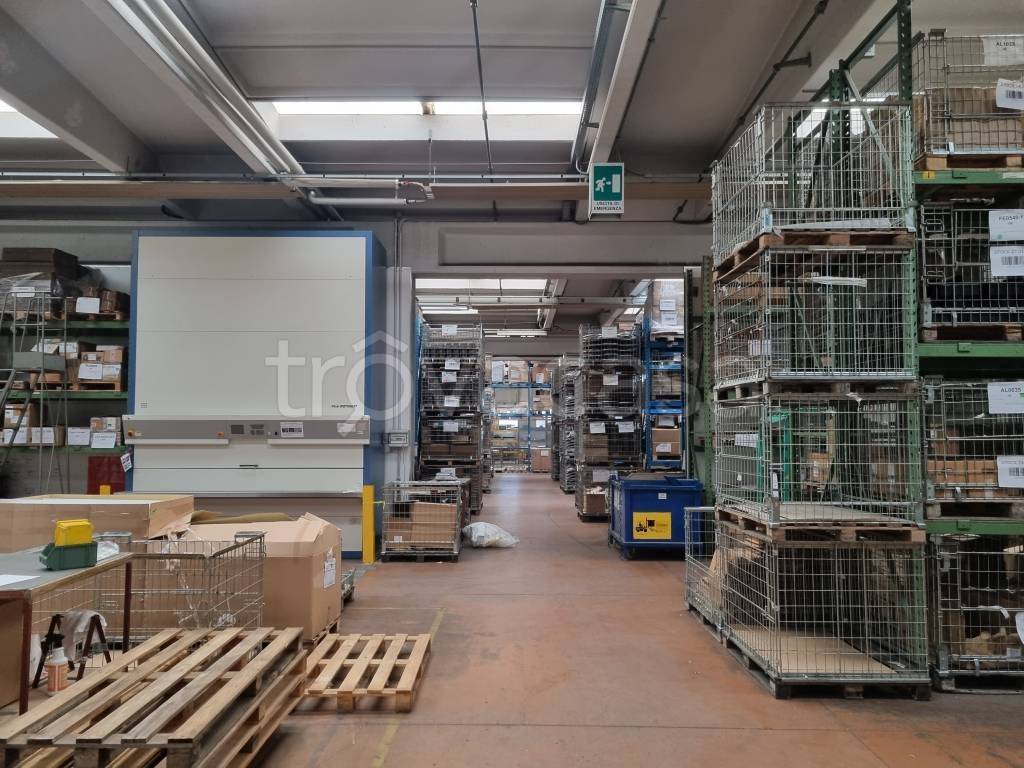 immagine annuncio 9 di 15