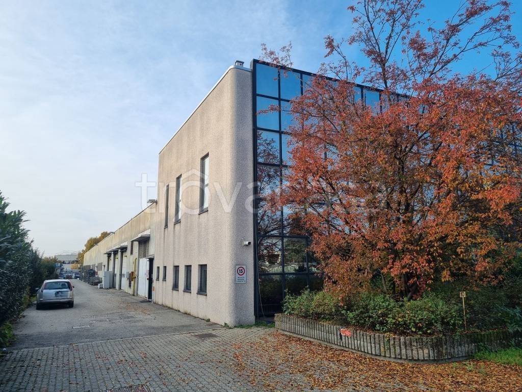 immagine annuncio 14 di 15