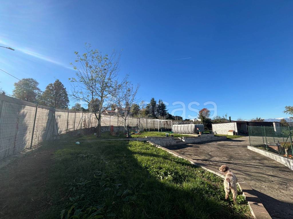 immagine annuncio 5 di 15