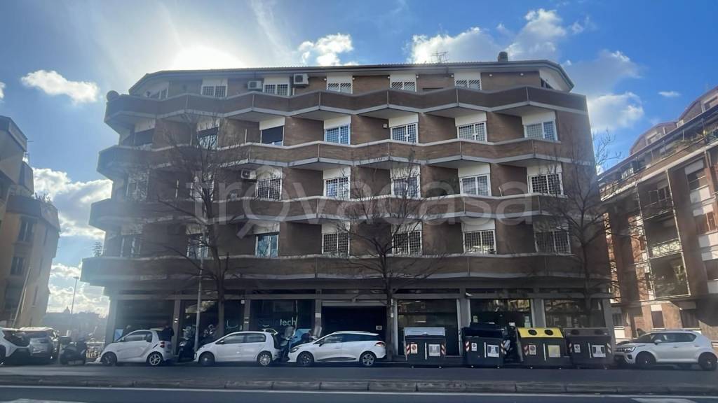 immagine annuncio 11 di 14