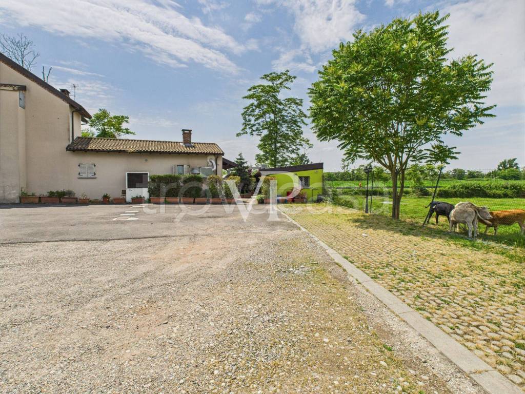 immagine annuncio 4 di 15