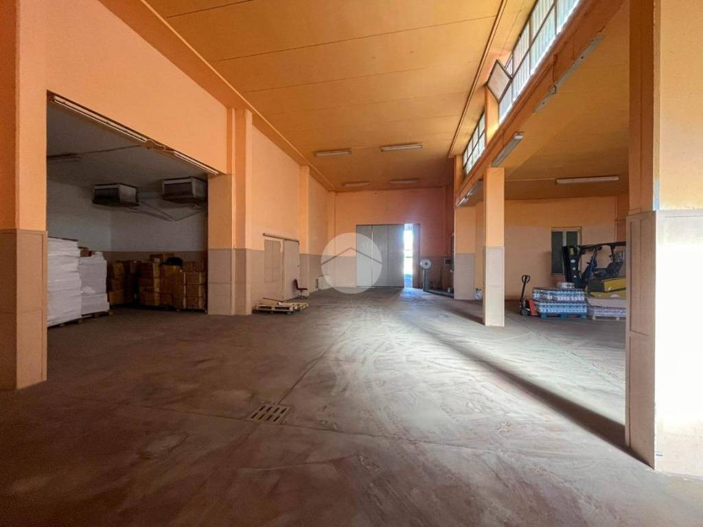 immagine annuncio 1 di 12