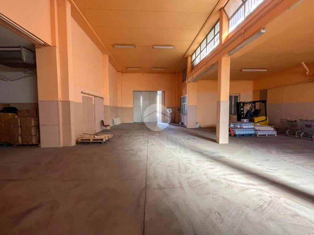 immagine annuncio 5 di 12