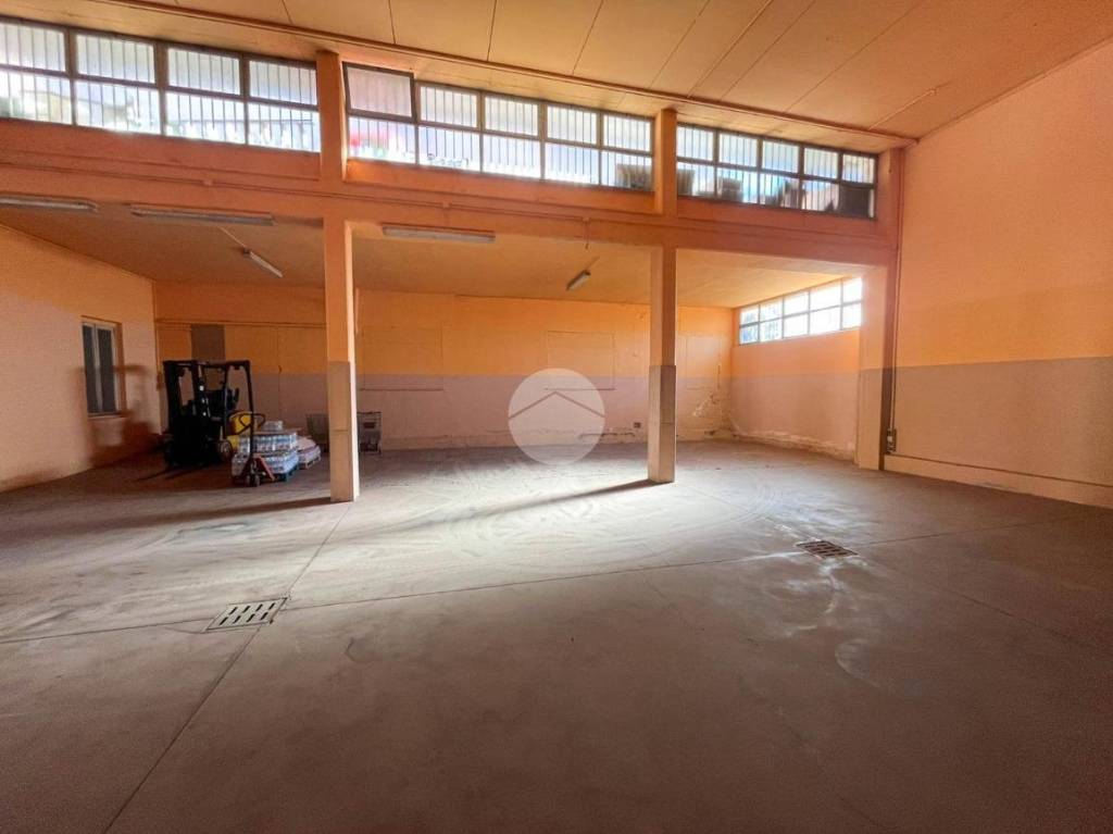 immagine annuncio 11 di 12