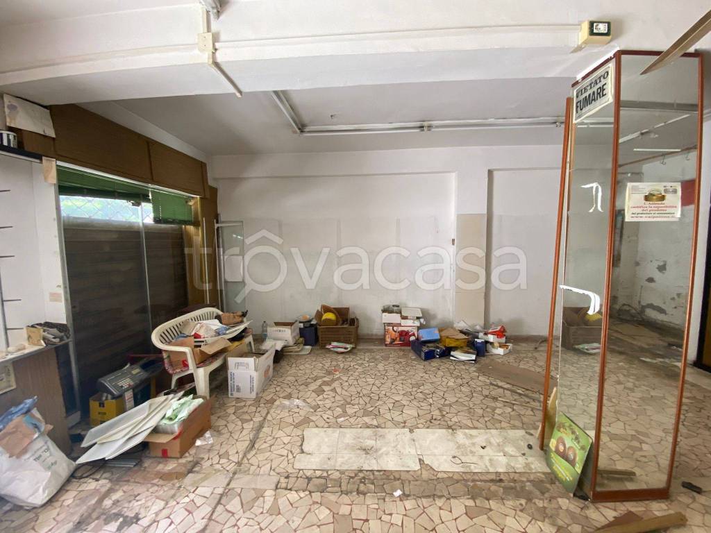 immagine annuncio 6 di 11