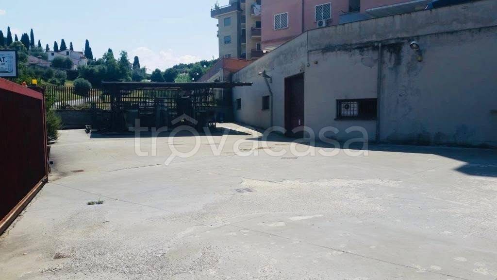 immagine annuncio 4 di 6