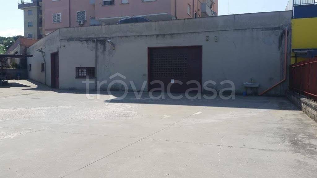 immagine annuncio 5 di 6