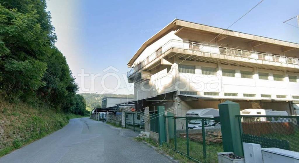 immagine annuncio 10 di 11