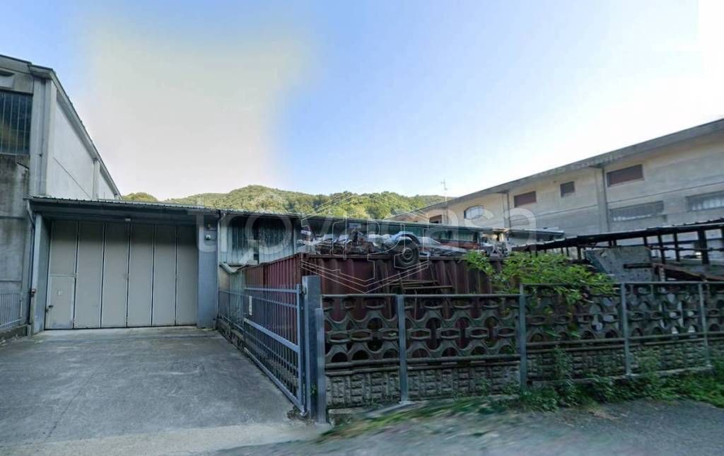 immagine annuncio 4 di 11