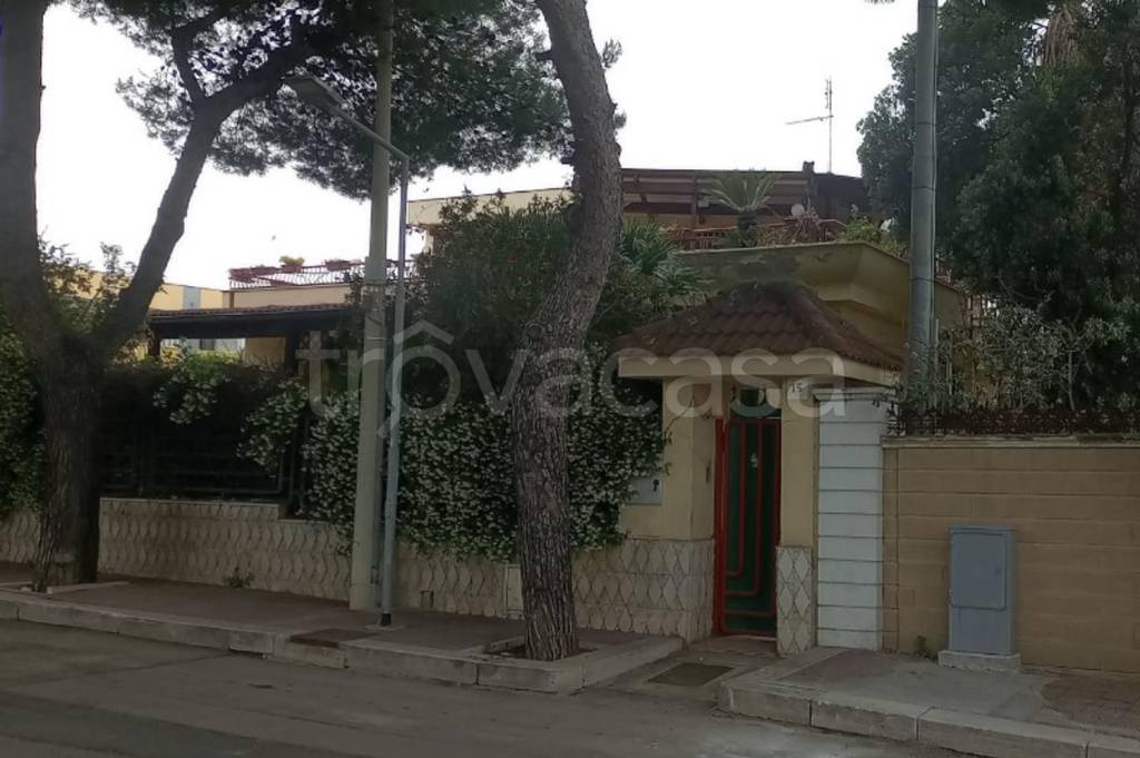 immagine annuncio 6 di 11