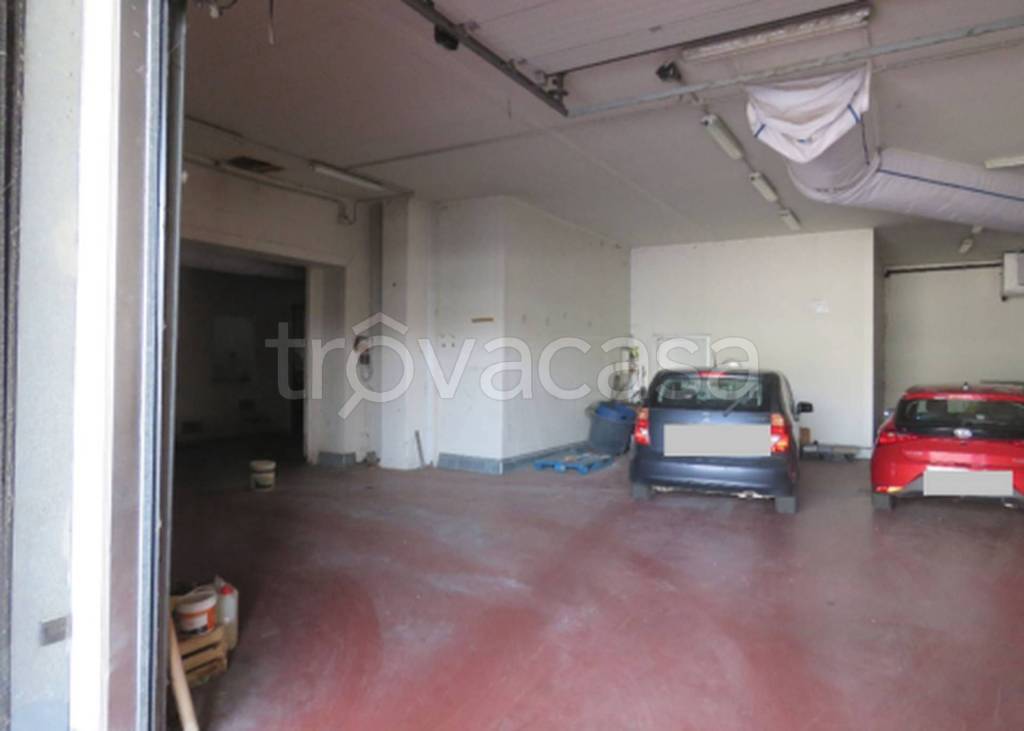 immagine annuncio 3 di 11