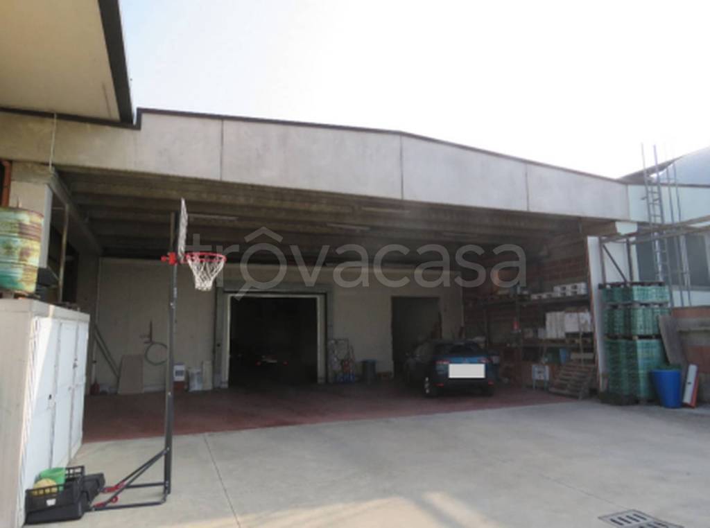 immagine annuncio 4 di 11