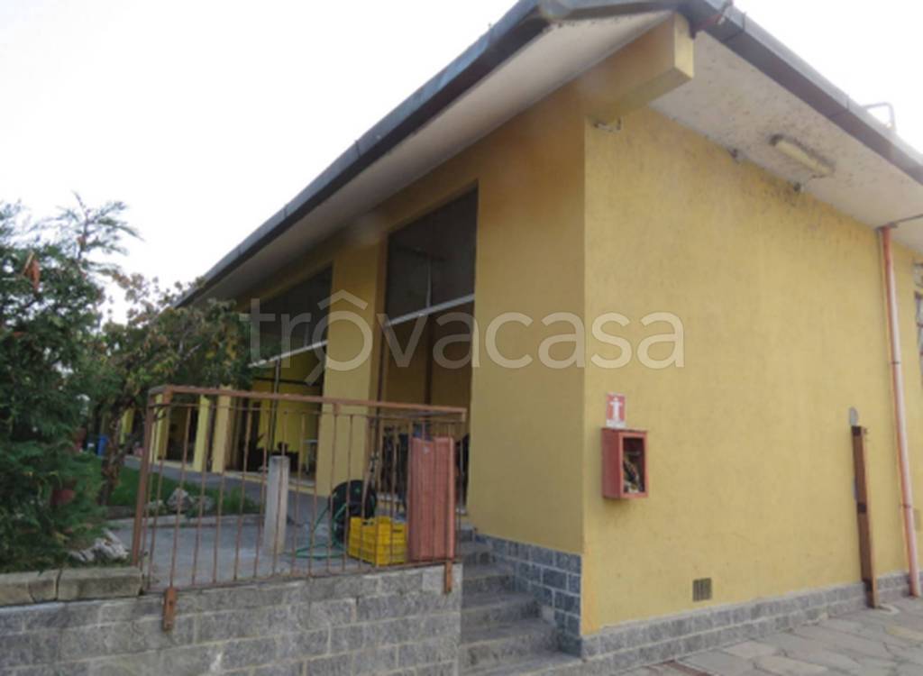 immagine annuncio 6 di 11