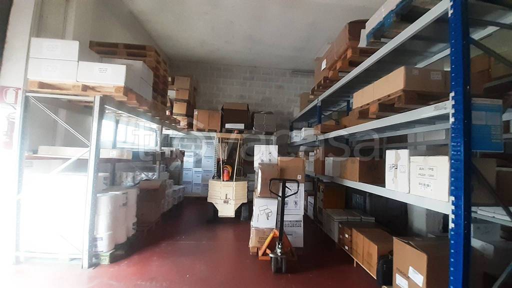 immagine annuncio 2 di 11