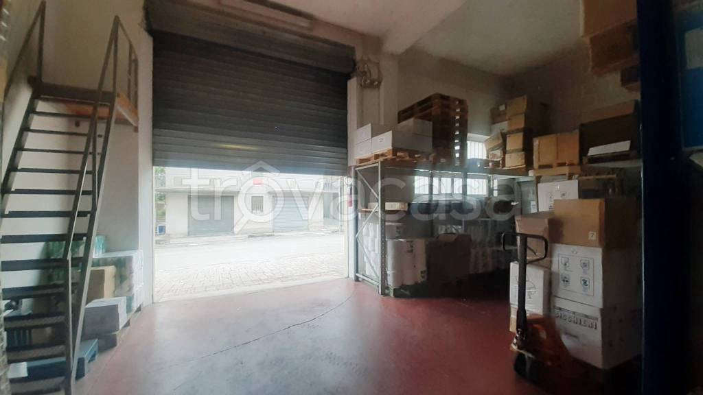 immagine annuncio 3 di 11