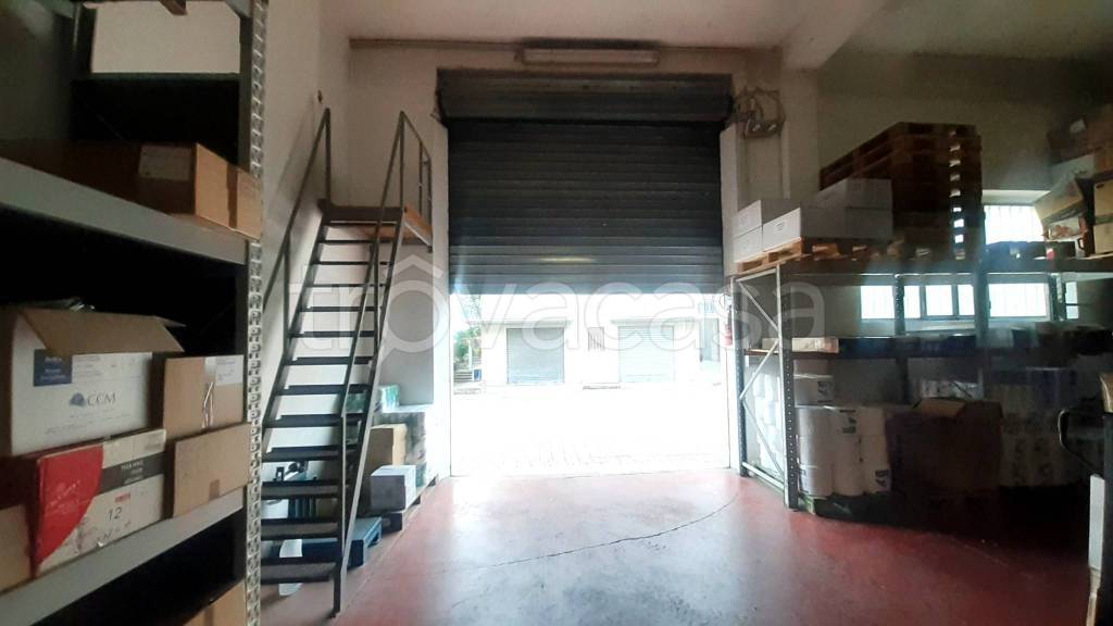 immagine annuncio 4 di 11