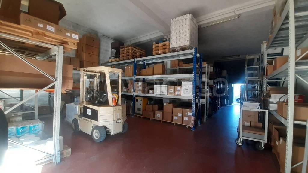 immagine annuncio 6 di 11