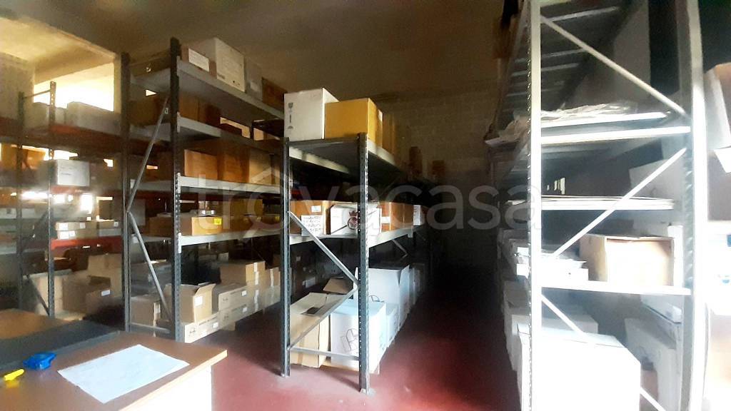 immagine annuncio 7 di 11