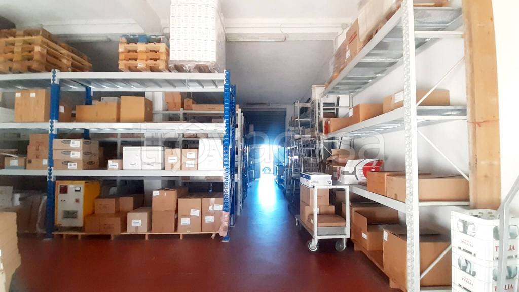 immagine annuncio 9 di 11