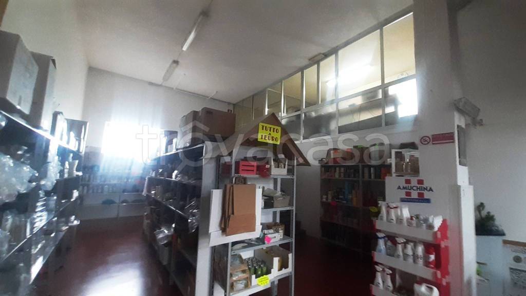 immagine annuncio 4 di 11