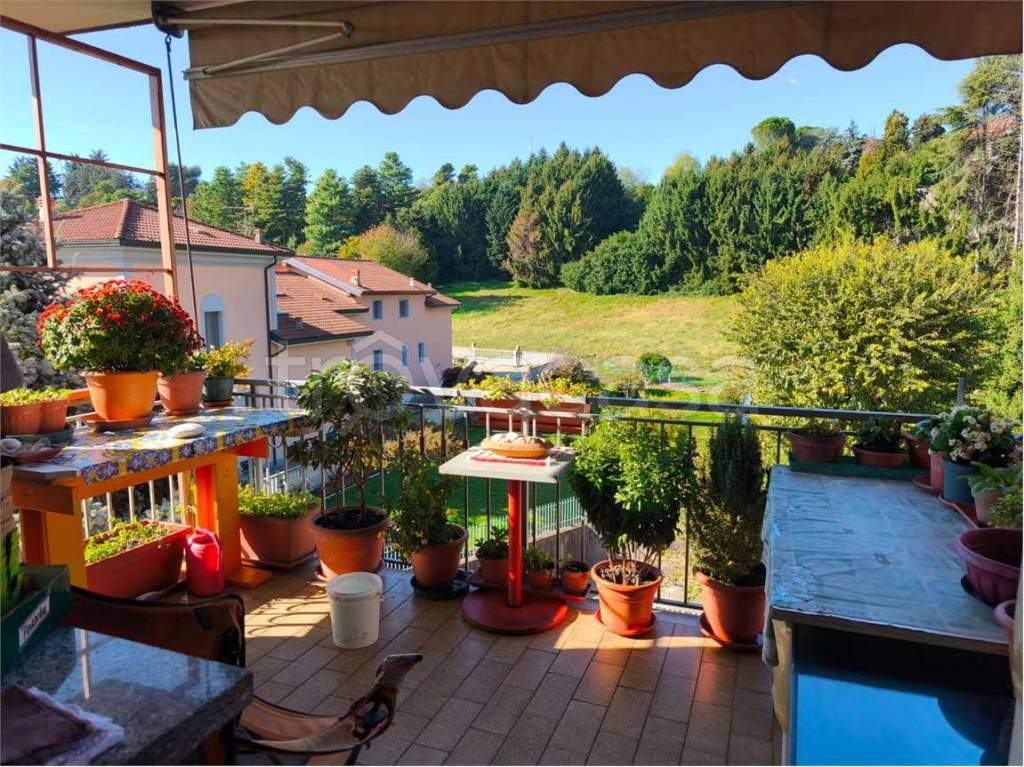 immagine annuncio 9 di 11