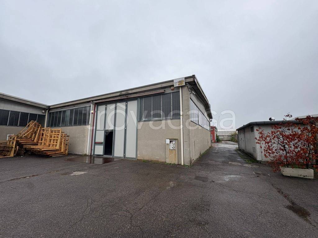 immagine annuncio 1 di 10