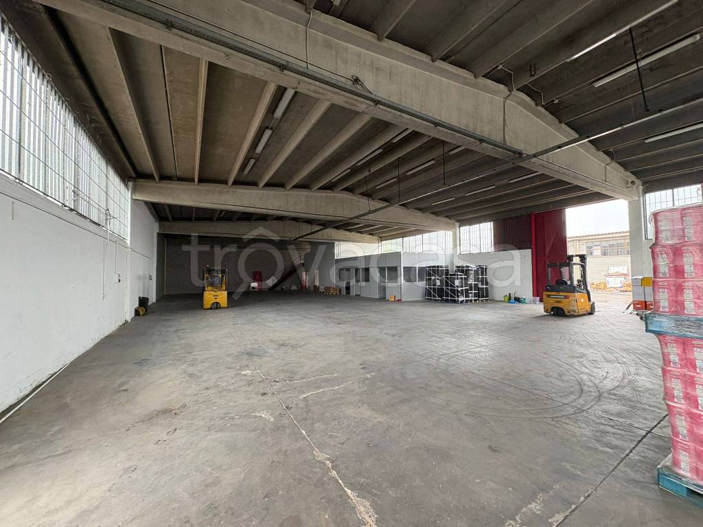 immagine annuncio 5 di 10