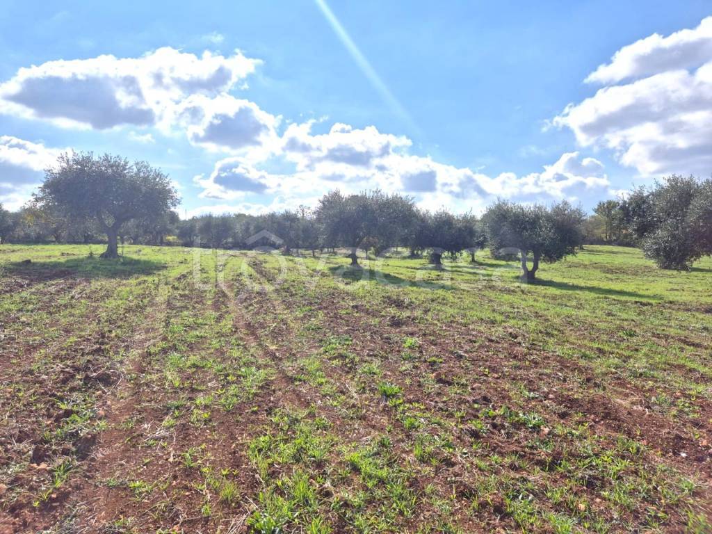 immagine annuncio 2 di 8