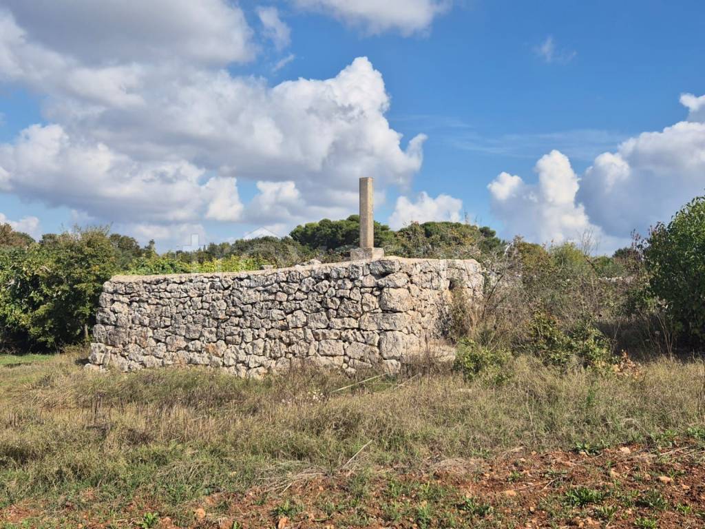 immagine annuncio 3 di 8