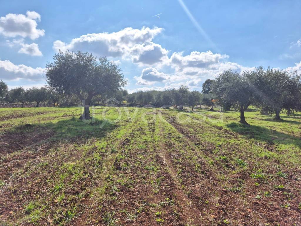 immagine annuncio 6 di 8