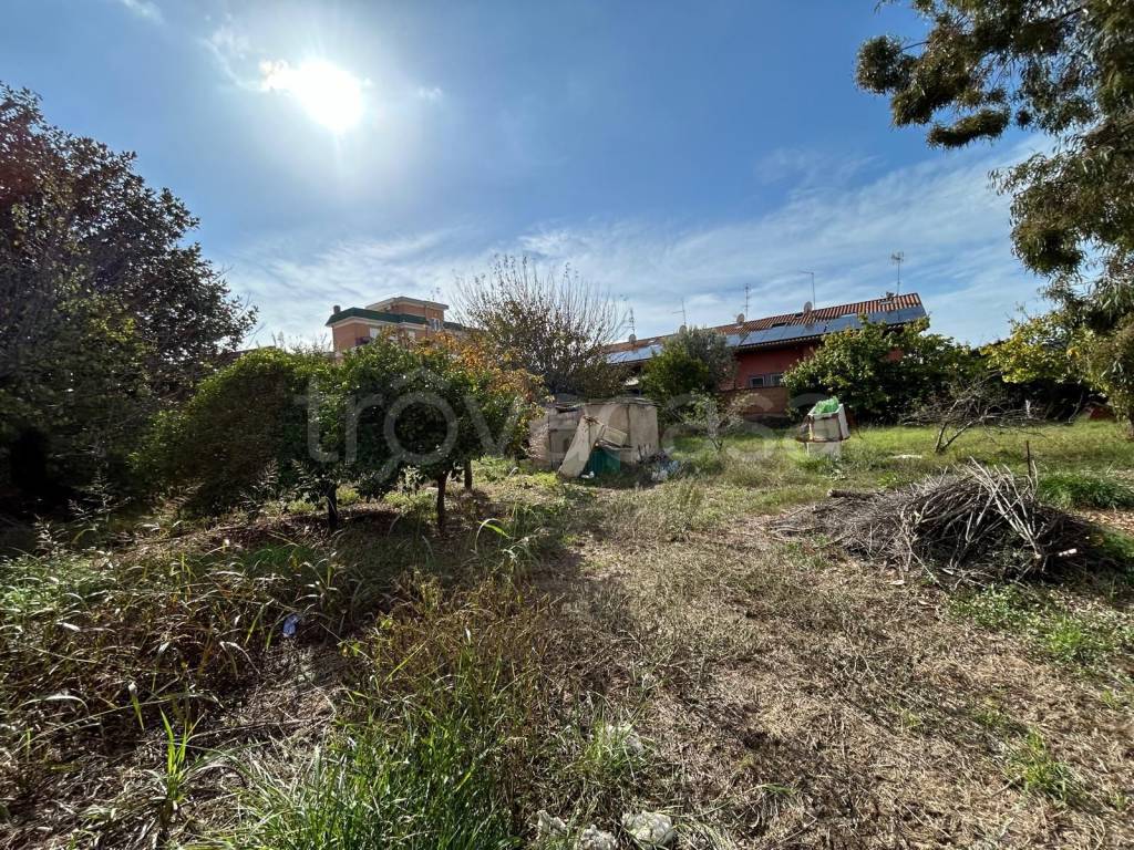 immagine annuncio 3 di 6