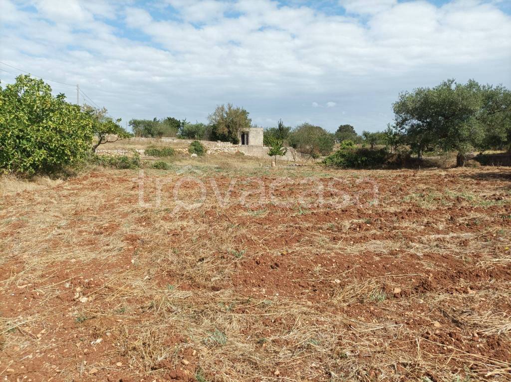 immagine annuncio 10 di 12