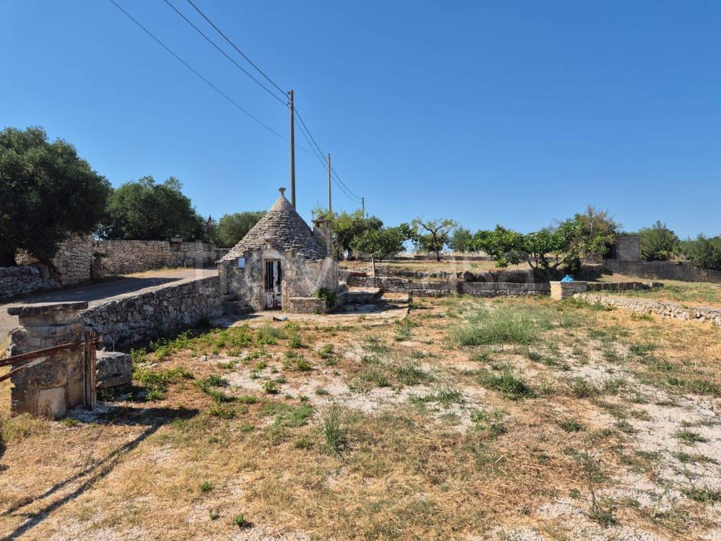 immagine annuncio 8 di 12